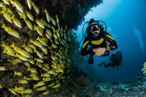 PADI Open Water