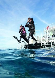 PADI ReActivate