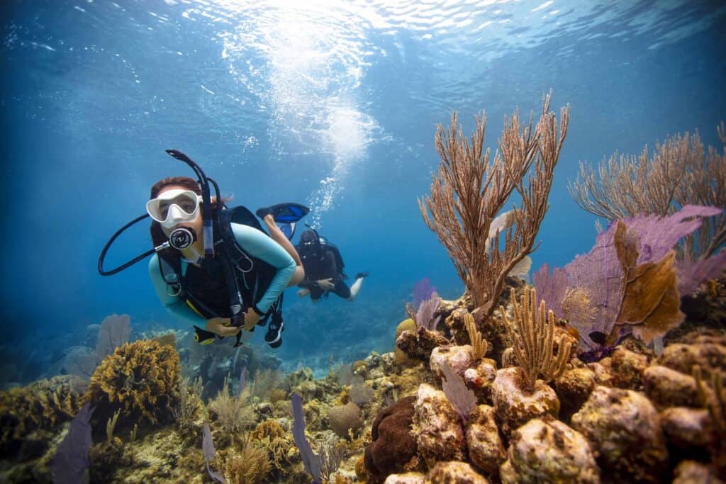 Scuba diver wearing a mask and wetsuit swimming beside a colorful coral reef in clear blue water, bubbles rising.